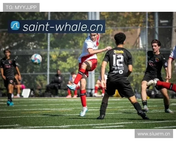 亚博体育备用网址：体育赛事直播与互动功能的创新应用与使用技巧