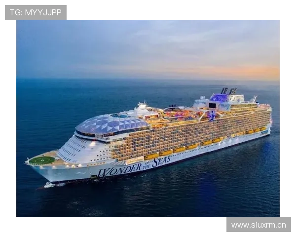 皇家集团的全球化布局与国际合作机遇