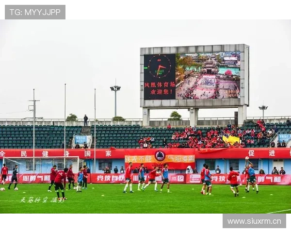 凤凰体育平台首页帮助用户快速找到自己关注的体育项目和比赛信息
