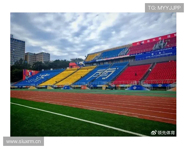 新利体育赛事直播体验：高清画质与实时解说带来沉浸式观赛感受